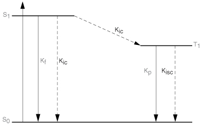 Absolute-PL-Quantum-yield-spectrometer-Q