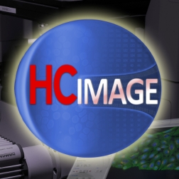 HC-Image-01.jpg