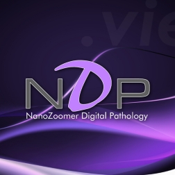 NDP-view-software-01.jpg